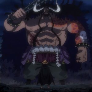 One Piece Episode 1029