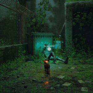 souvenir 1 stray chapitre 11