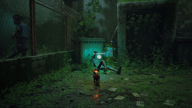 souvenir 1 stray chapitre 11