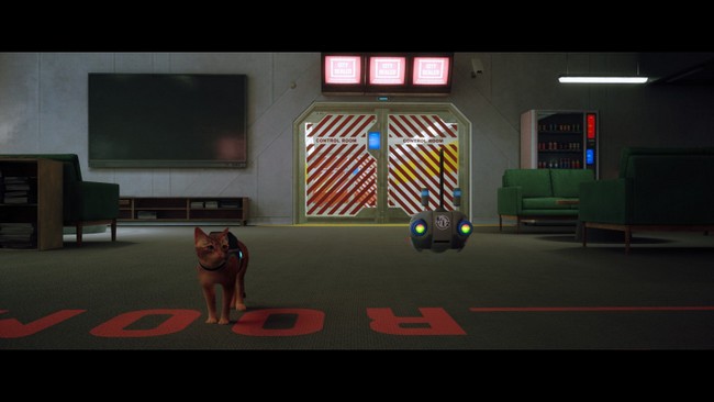 souvenir 1 stray chapitre 12