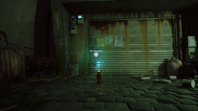 souvenir 1 stray chapitre 7