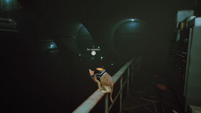 souvenir 1 stray chapitre 8-3