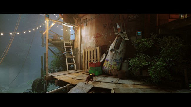 souvenir 1 stray chapitre 9