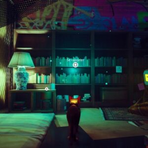 souvenir 2 stray chapitre 10