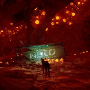 souvenir 2 stray chapitre 5