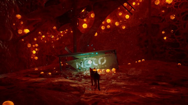 souvenir 2 stray chapitre 5