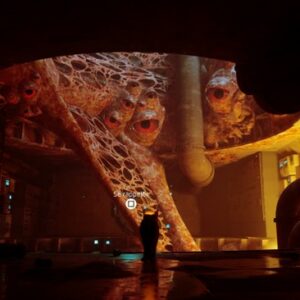 souvenir 2 stray chapitre 8