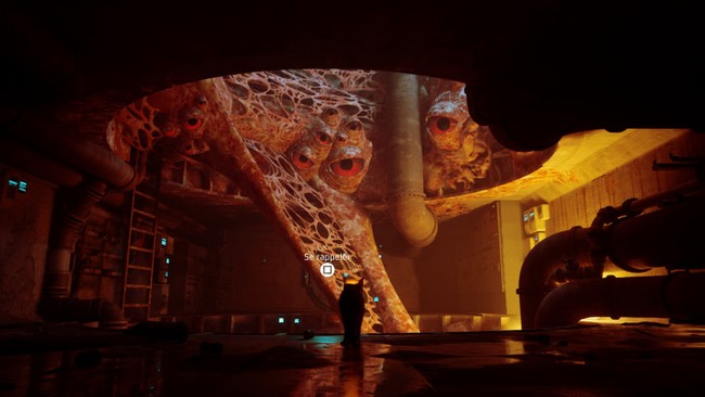 souvenir 2 stray chapitre 8