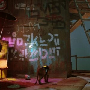 souvenir 2 stray chapitre 9