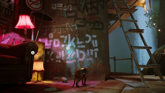 souvenir 2 stray chapitre 9