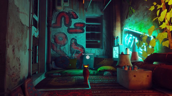 souvenir 3 stray chapitre 10