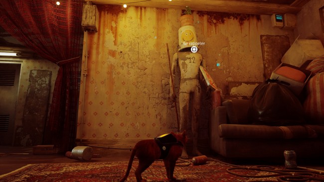 souvenir 3 stray chapitre 7