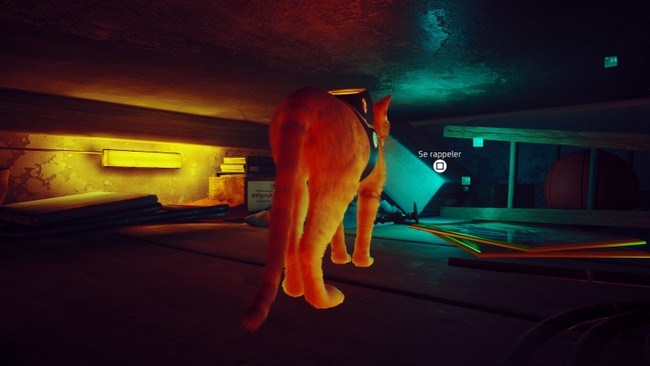 souvenir 4 stray chapitre 10