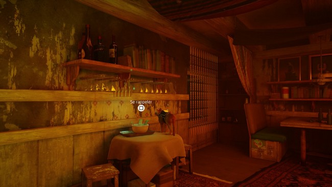 souvenir 4 stray chapitre 4