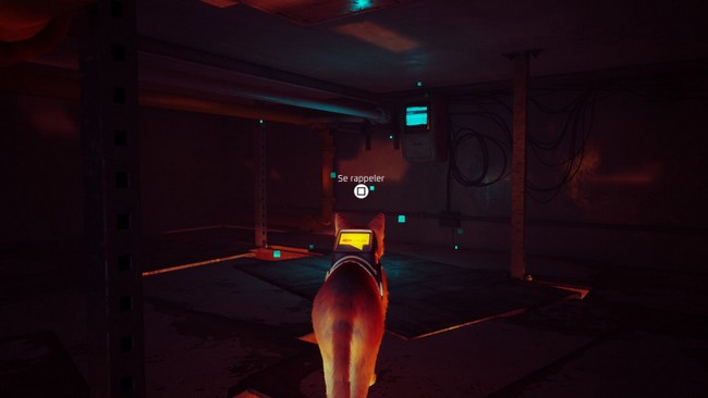 souvenir 5 stray chapitre 10