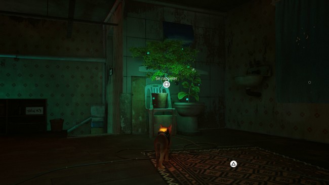 souvenir 5 stray chapitre 4