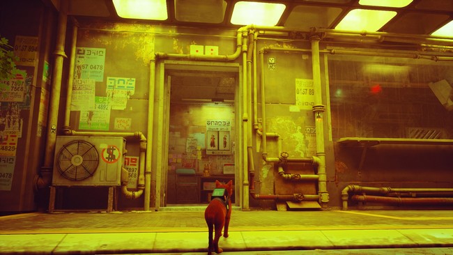 souvenir 6 stray chapitre 10