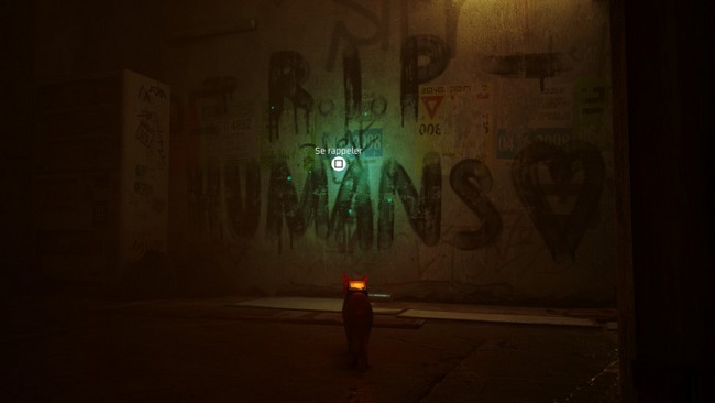 souvenir 6 stray chapitre 4