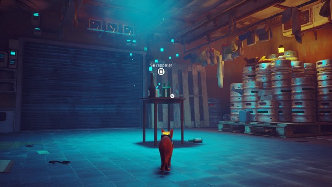 souvenir 7 stray chapitre 10