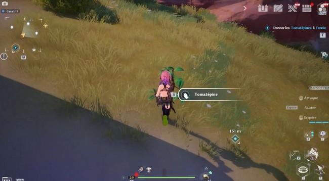 tomatépine tower of fantasy