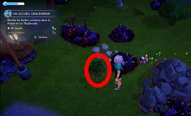 Accueil chaleureux- Disney Dreamlight Valley