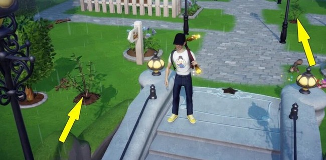 Accueil chaleureux- Disney Dreamlight Valley