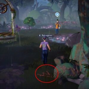 Bois dur Disney Dreamlight Valley