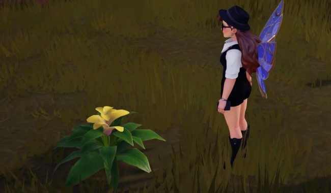 Bromélie jaune dans Disney Dreamlight Valley