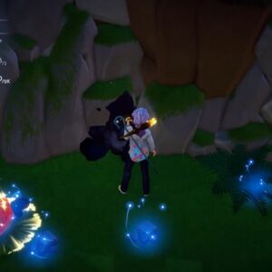 Les gemmes : comment en obtenir ?