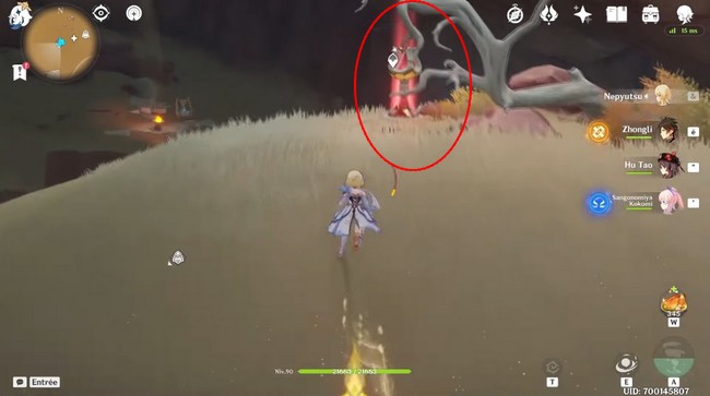 Double preuve-genshin impact