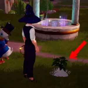 Emplacement du basilic dans Disney Dreamlight Valley
