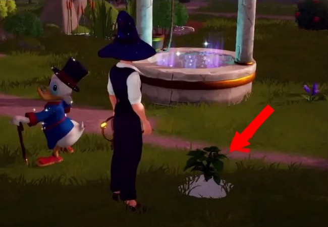 Emplacement du basilic dans Disney Dreamlight Valley