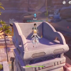 Fleurs sur les sables-Genshin Impact