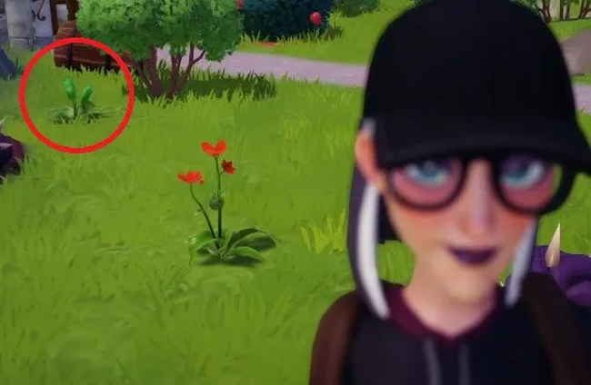 Penstemon montant vert dans Disney Dreamlight Valley