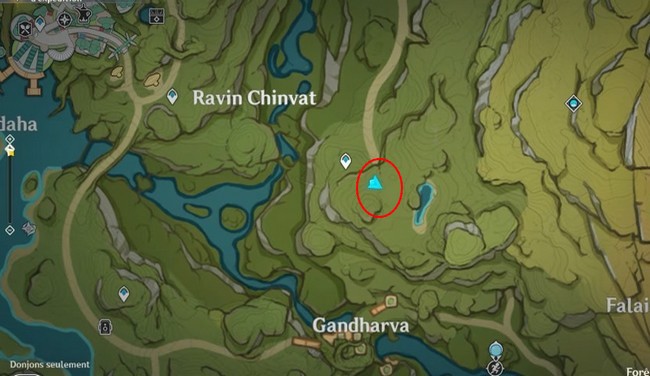 Pépinière sauvage 1-emplaement