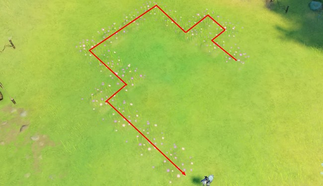 Pépinière sauvage 1