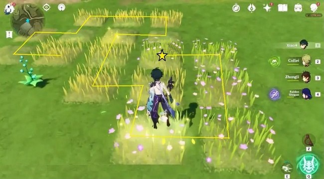 Pépinière sauvage 6