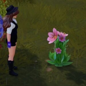 joubarbe rose dans Disney Dreamlight Valley