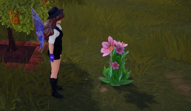 joubarbe rose dans Disney Dreamlight Valley