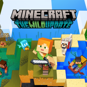 modifier votre pseudo dans Minecraft