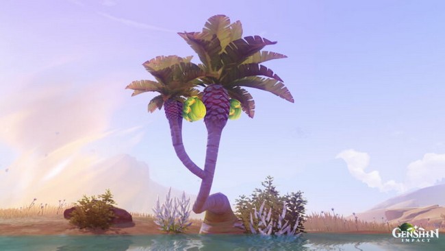 obtenir des noix d'Ajilenakh dans Genshin Impact
