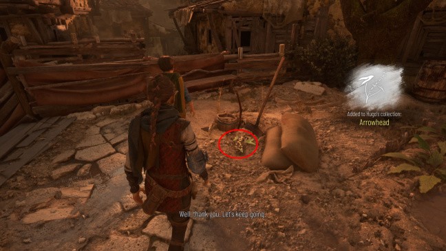 Emplacement Fleur n°1 : Sagittaire à feuilles en flèche : Chapitre 2