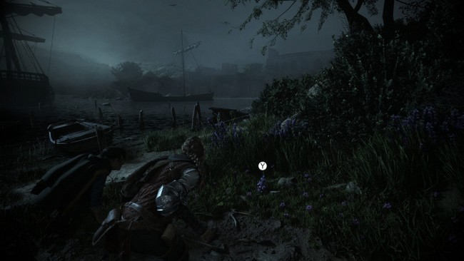 Emplacement Fleur n°3 : Gentiane : Chapitre 4