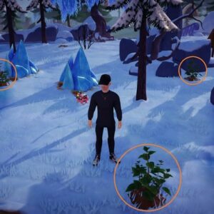 Emplacement Menthe Disney Dreamlight Valley