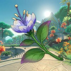 Emplacement Padisachidée genshin impact