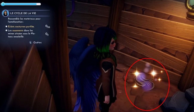 Le cycle de la vie Disney Dreamlight Valley-1