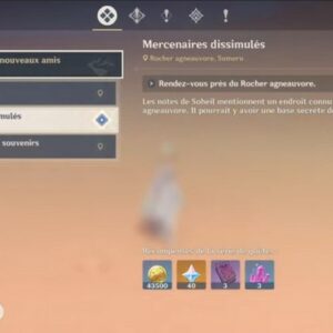 Mercenaires dissimulés-genshin impact