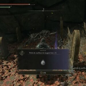 Perle de Cueilleur de Muguet Fantomatique (3) elden ring