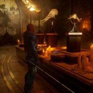 Solution Puzzle oiseau Gotham Knights-2