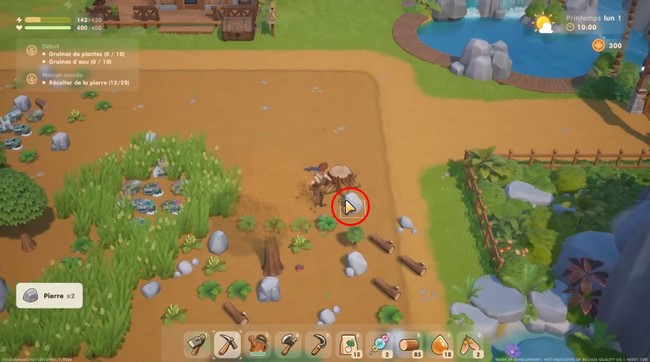 pierres - Coral Island